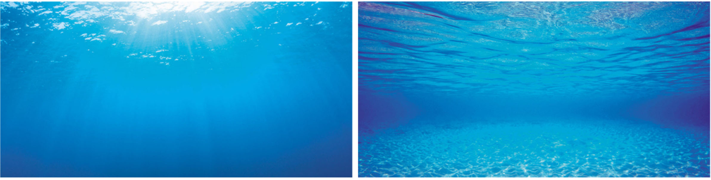 Juwel Fotorückwand Motiv 2