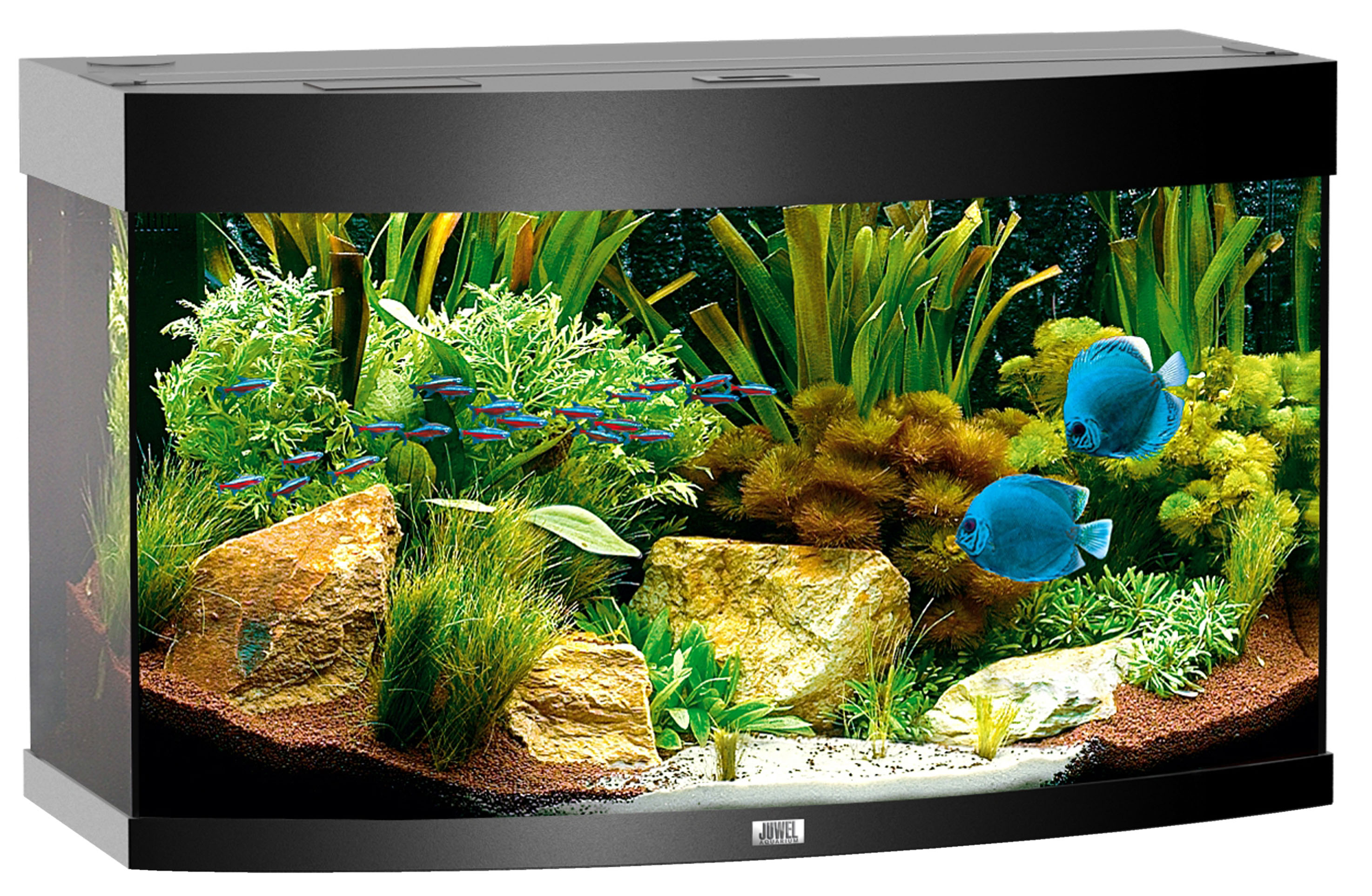Juwel Aquarium Vision 180, schwarz