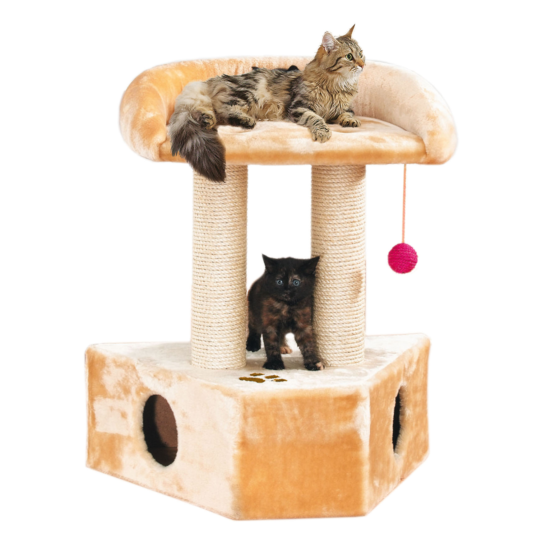 swisspet arbre à chats mural Samanta, beige