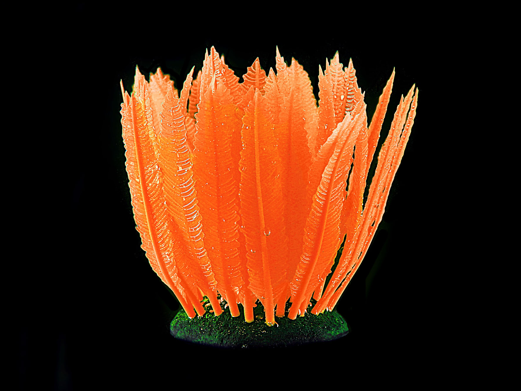 Amazonas Kunststoffpflanzen FLUO Farn, orange