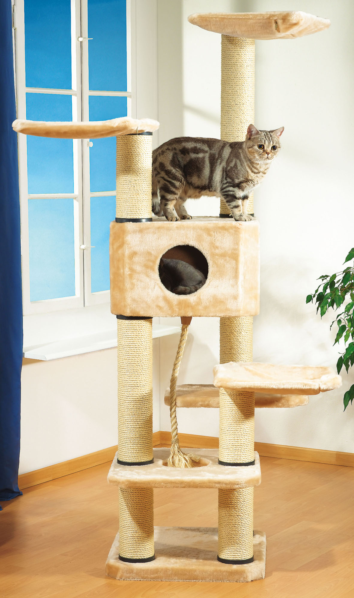 swisspet Kratzbaum Annabelle, beige