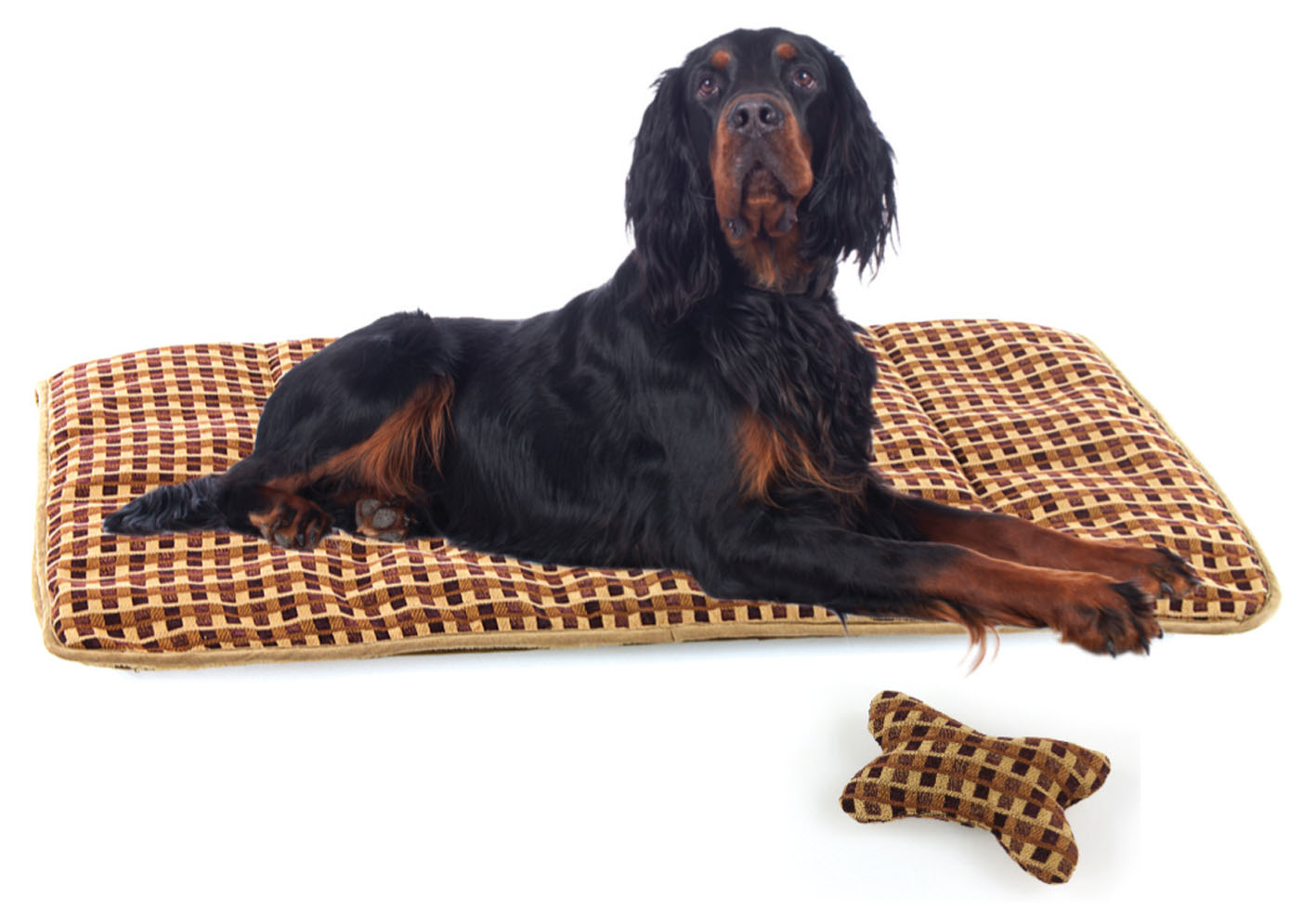 swisspet Couverture Picko, brun, 127x103cm