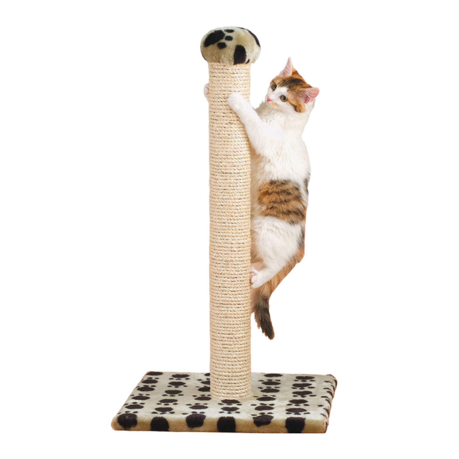 swisspet Kratzsäule Top