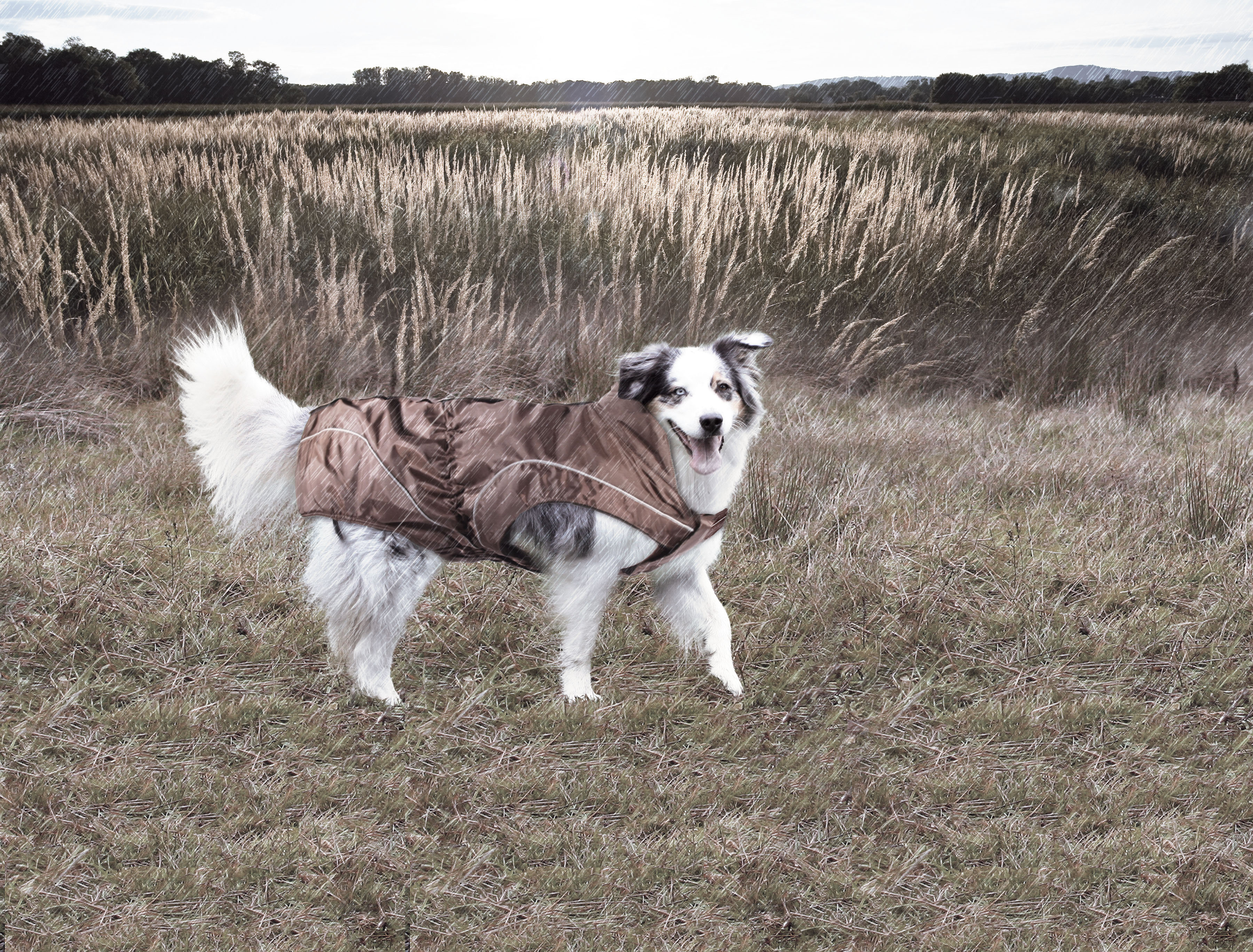 climaro Regenjacke, 55cm, braun