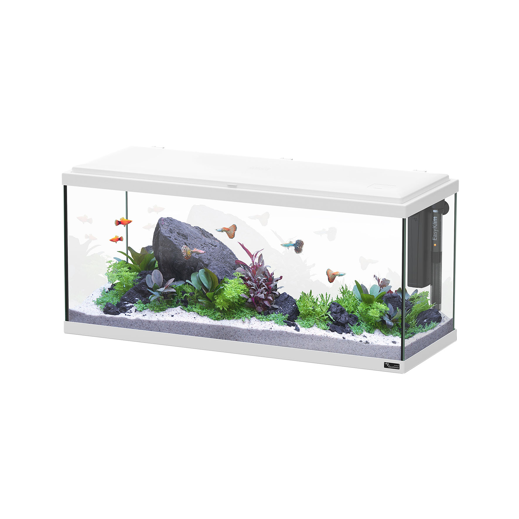 Aquatlantis Aquarium Explorer Amsterdam LED 80, weiss