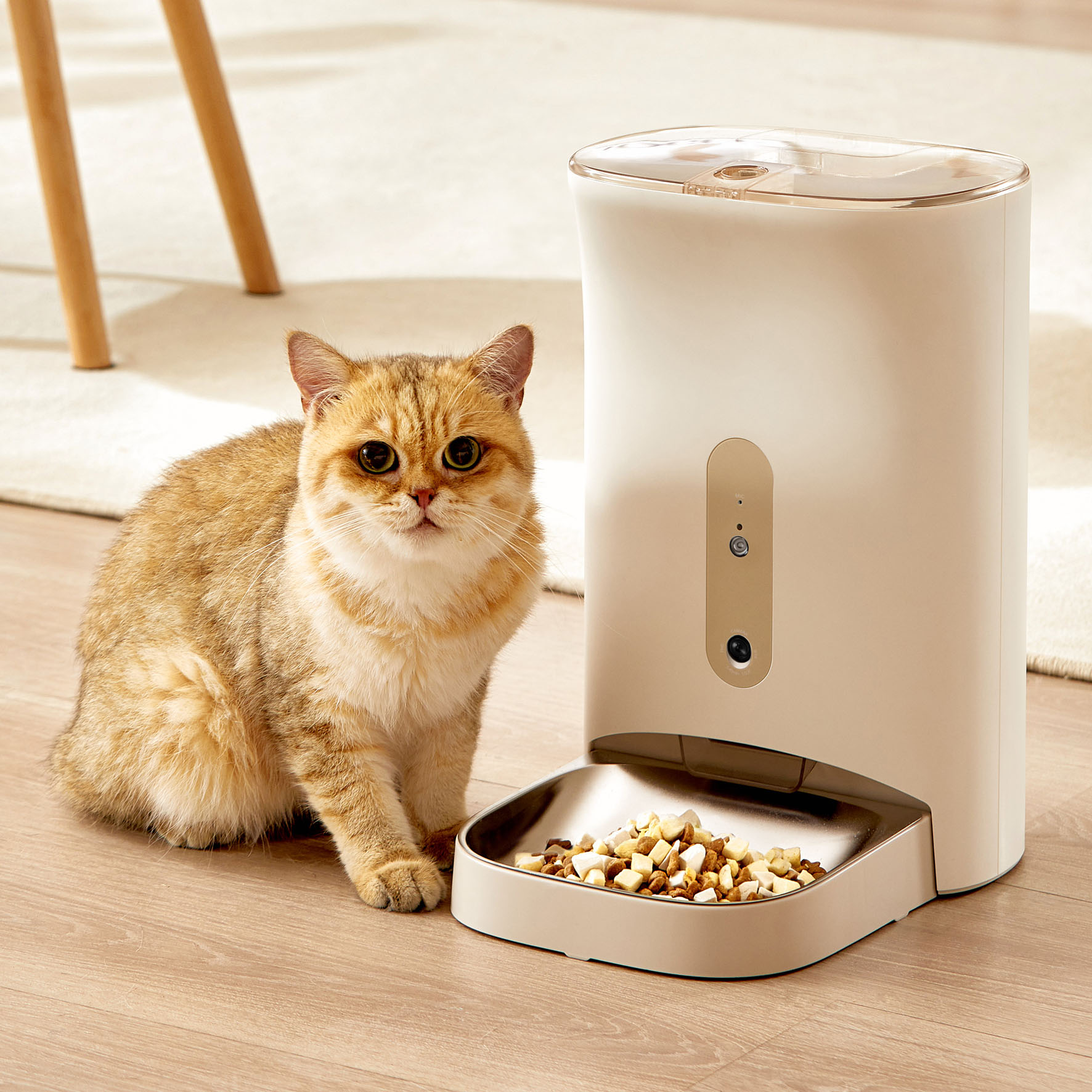 swisspet Futterautomat i202 mit Kamera, beige