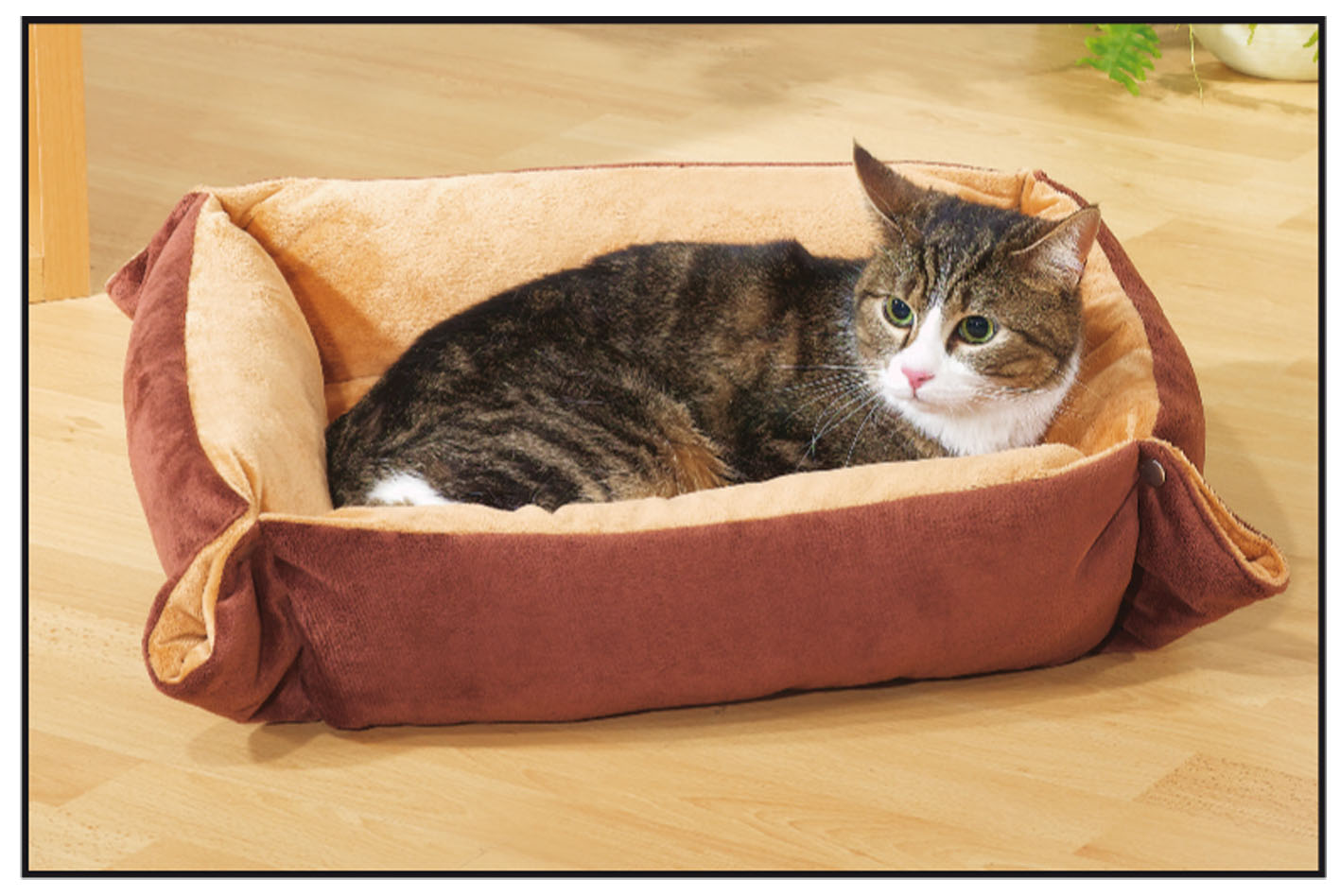 swisspet Soft lit pour chats Patte, brun foncé/brun