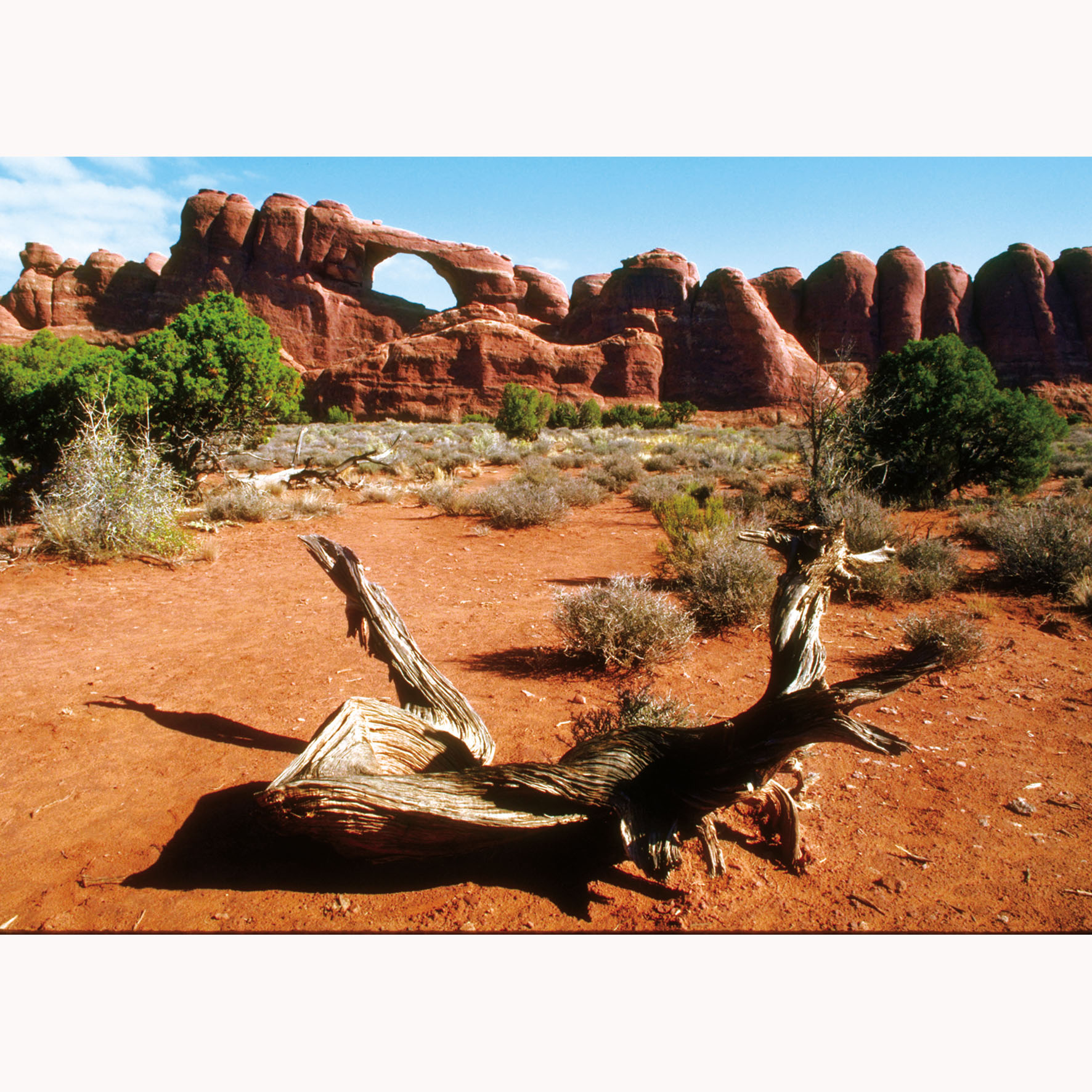 Exo Terra Tubo fluorescente UVB150, 38cm, 14W