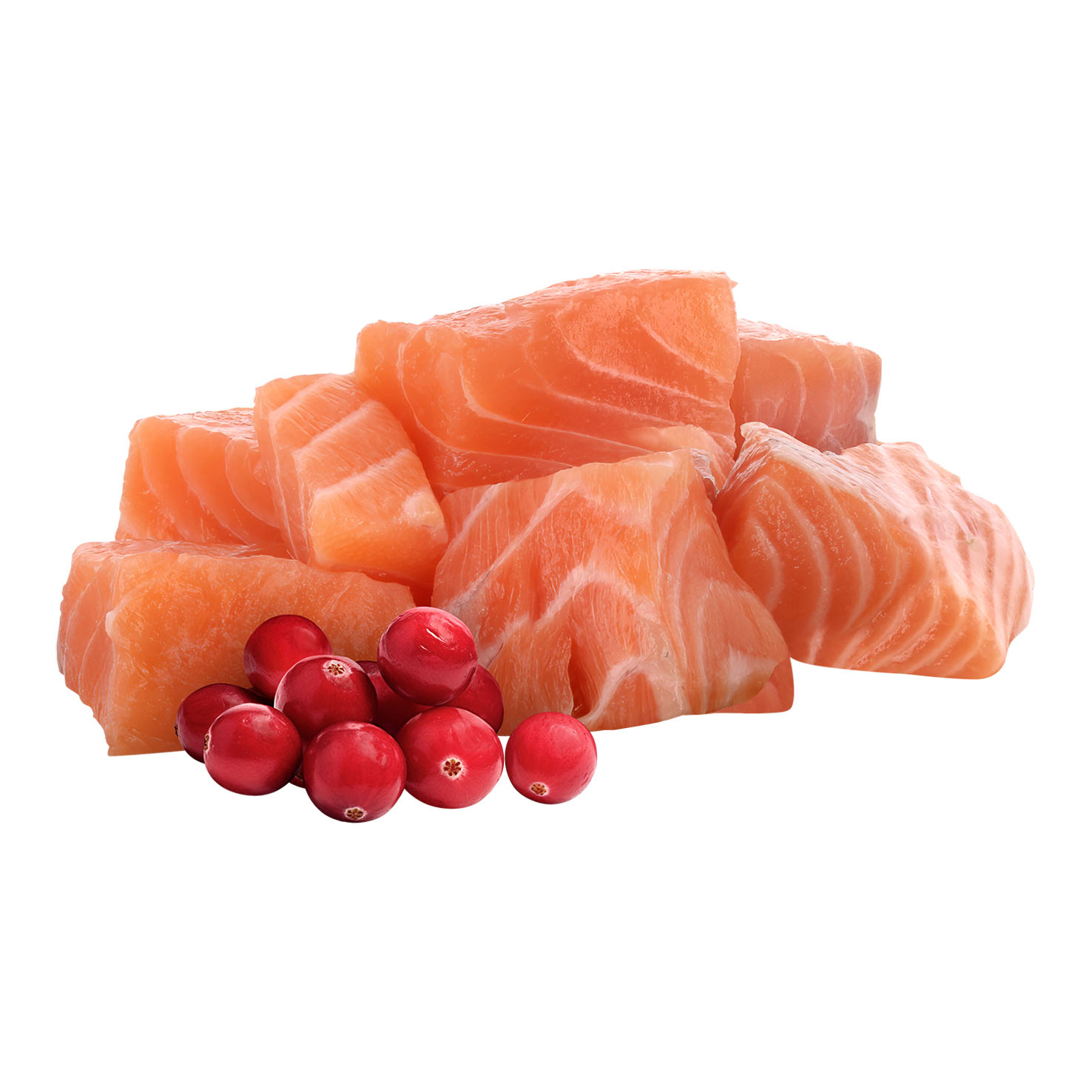 Pawsome Adult light Lachs 85g