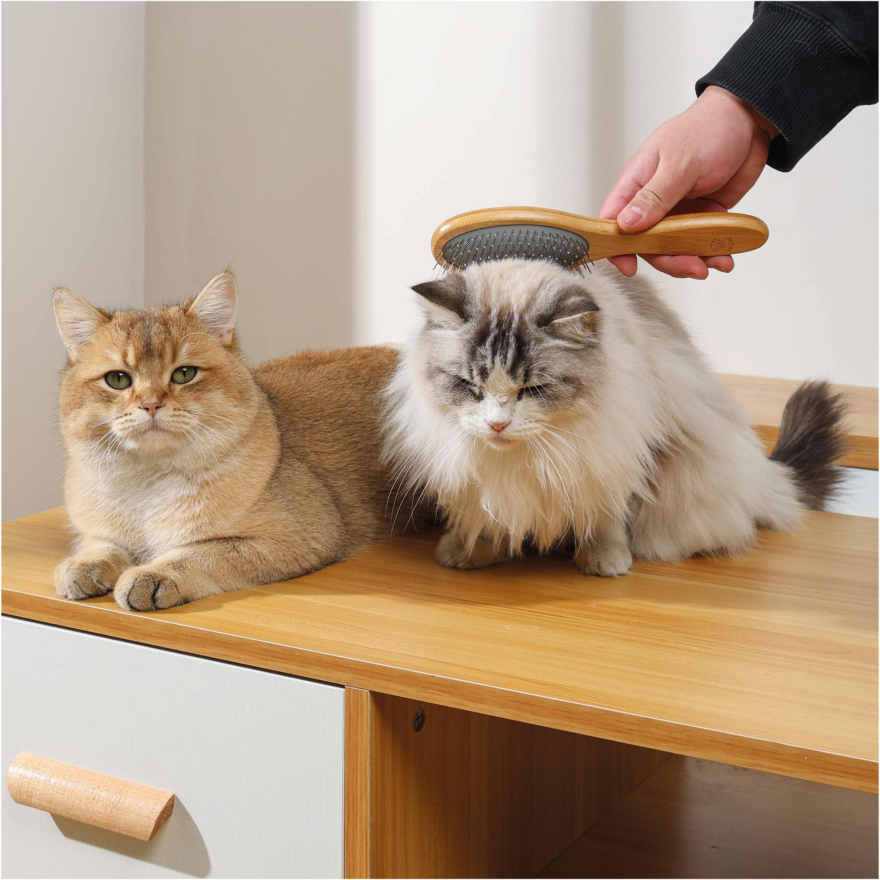 BAMBUS-Kugelstiftbürste, beige, 6x22cm