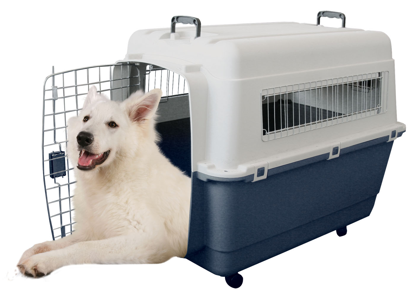 swisspet Transportbox FB5, Grösse: 81x56x59cm, bis 25kg 