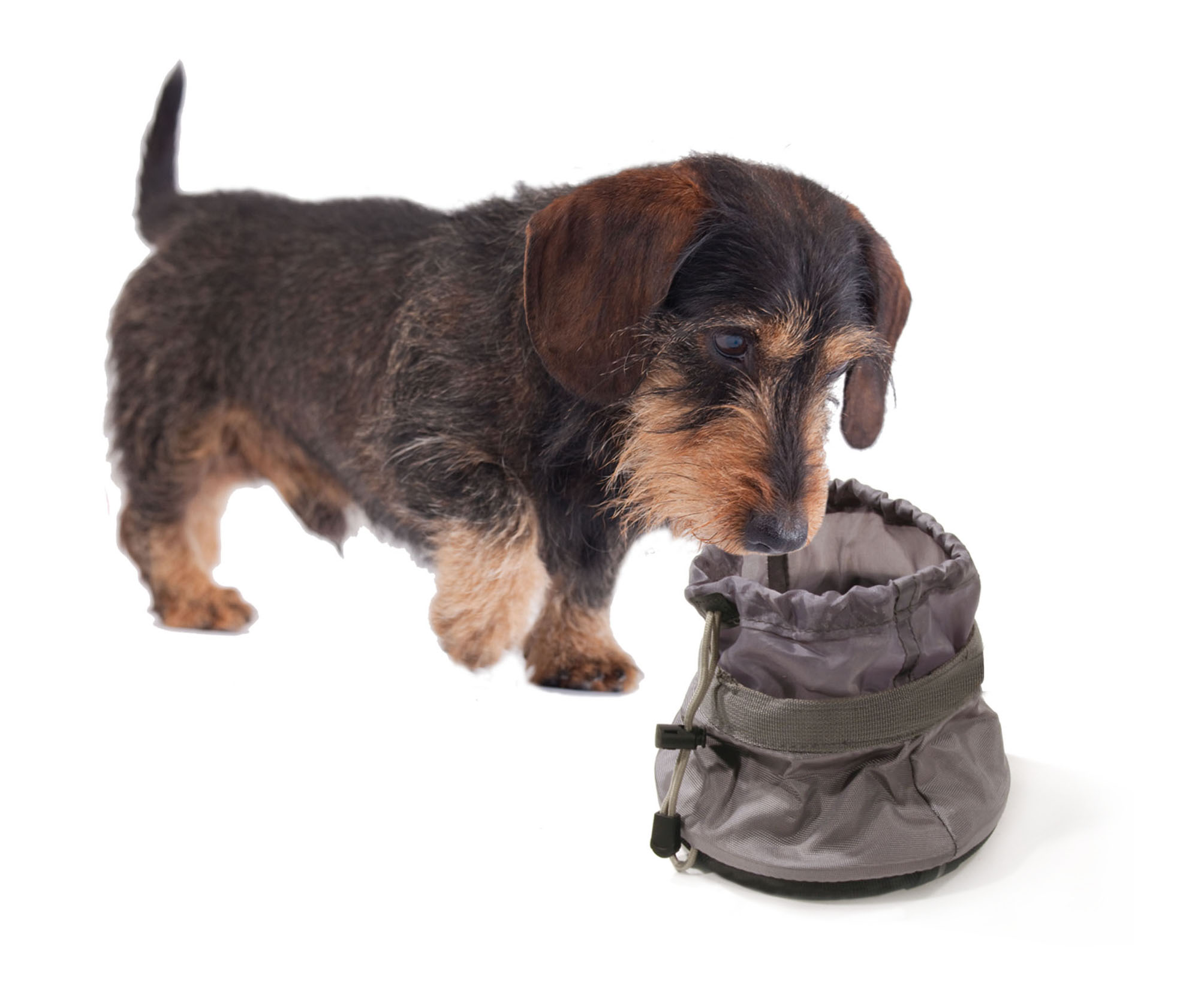 swisspet Reisenapf aus Segeltuch, grau