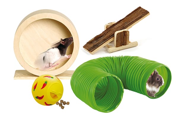 Nagerspielzeug & Beschäftigung