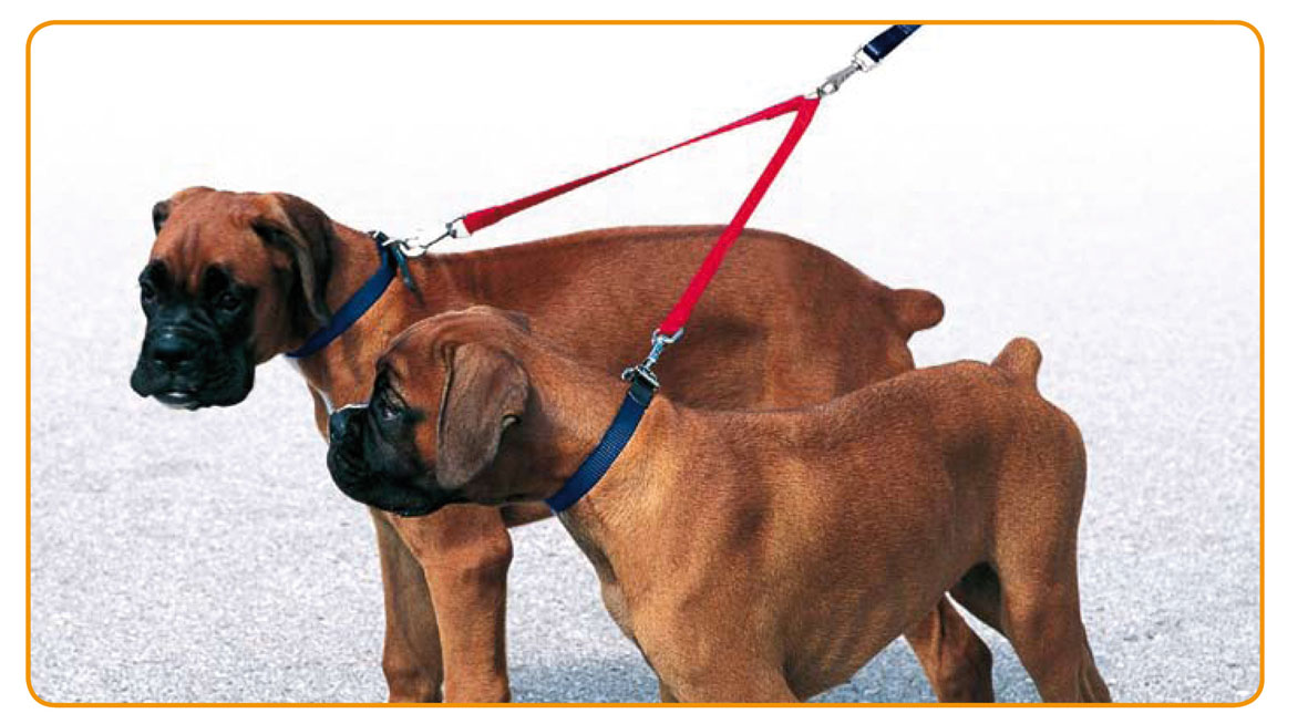 swisspet Leinen Duo Koppler mit Zugbremse, rot/blau 25/35cm