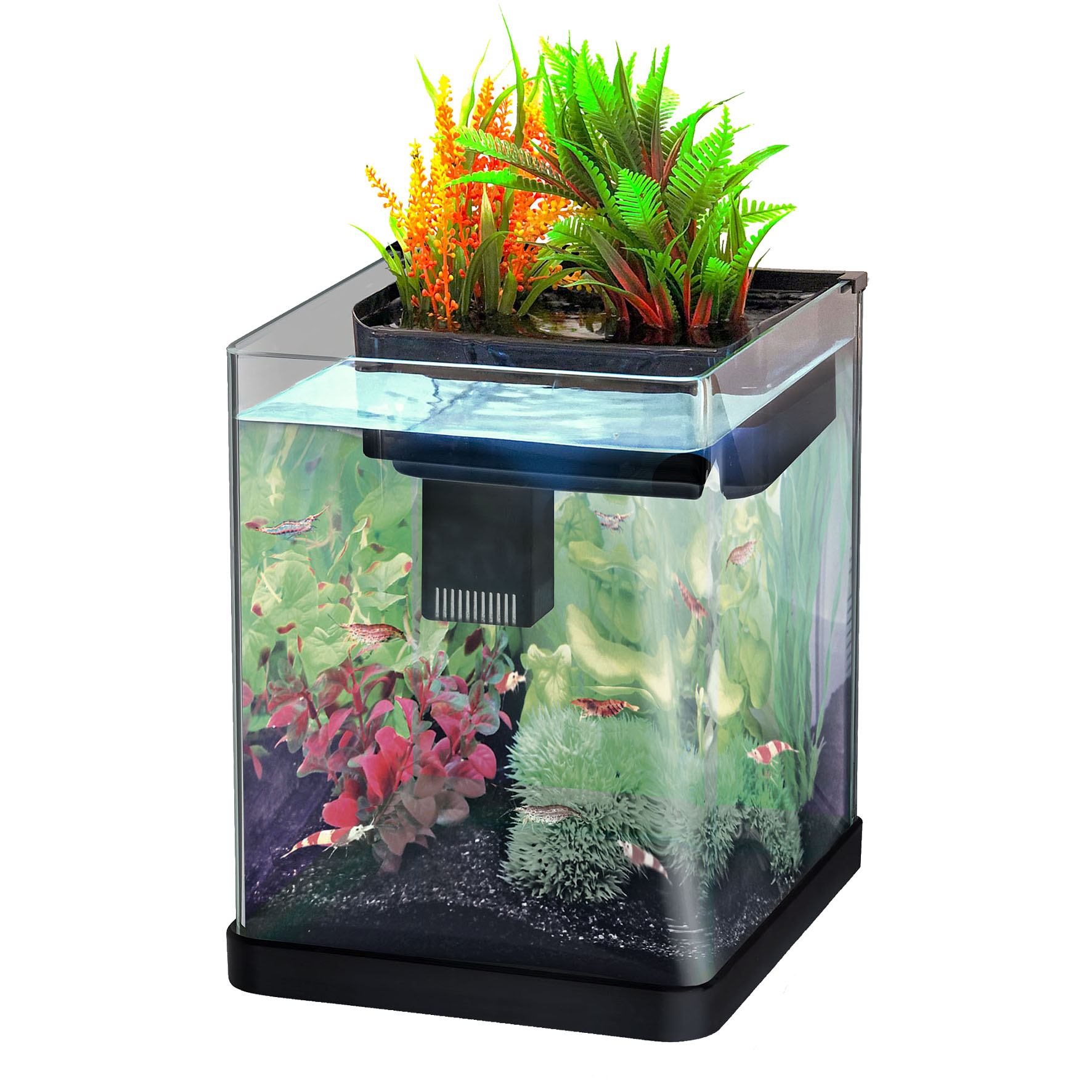 Amazonas Nano Plant Aquarium schwarz 20L