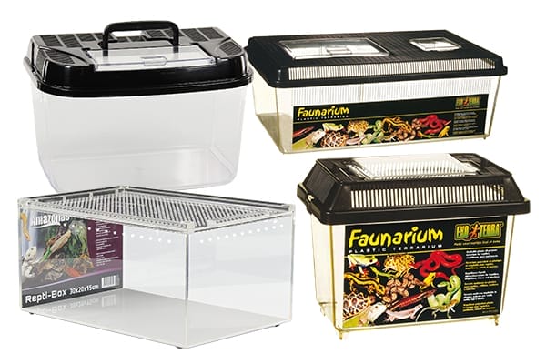 Reptilien Transportboxen