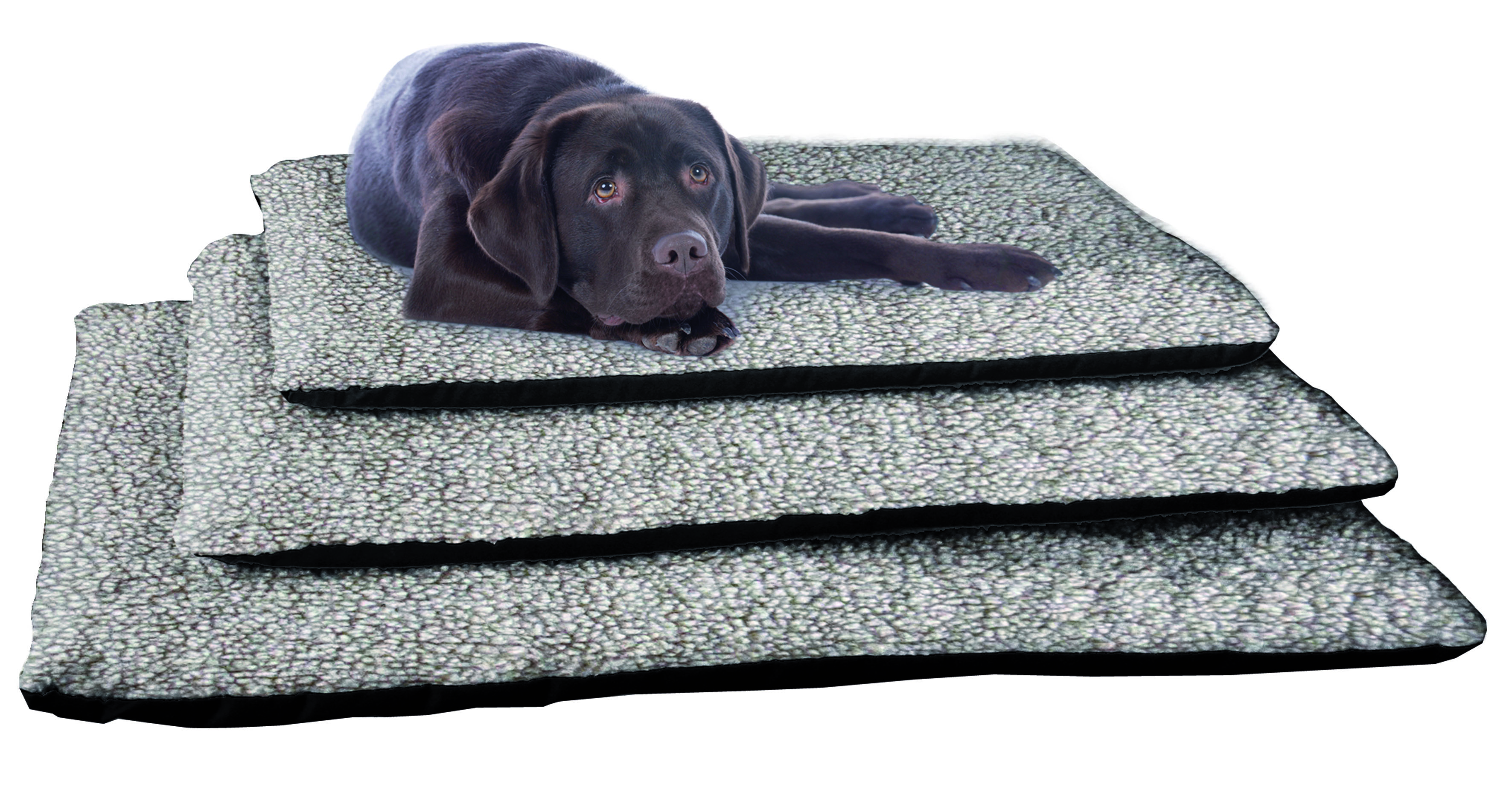 Hunde- und Katzenmatte Odessa