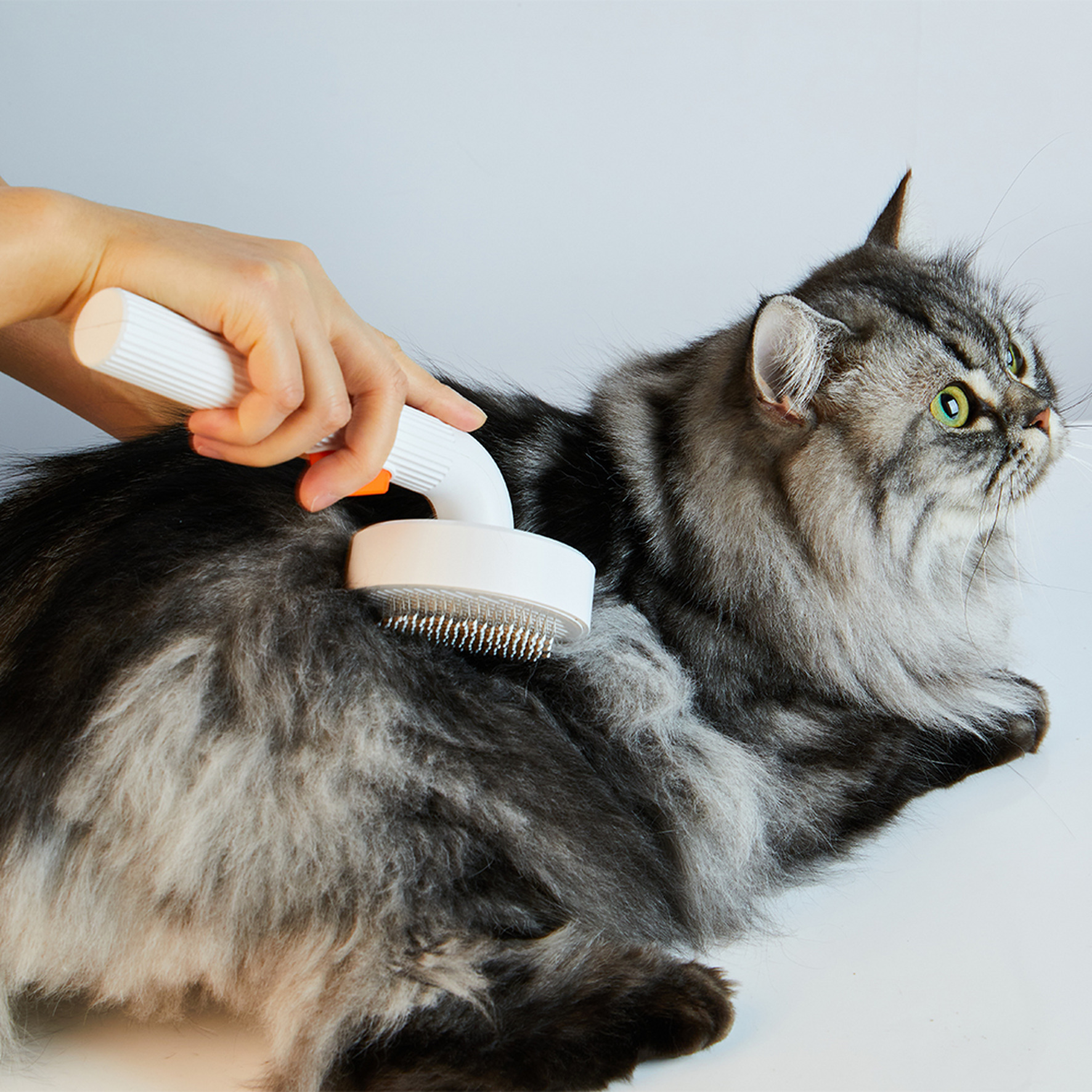 Spazzola per la toelettatura PETKIT 2 bianca