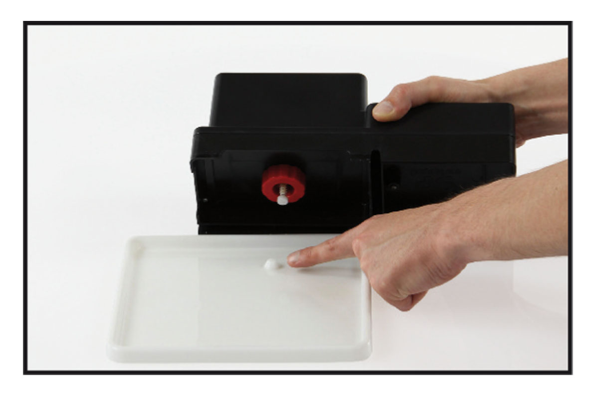 swisspet Cat Drink station avec écuelle fourrage