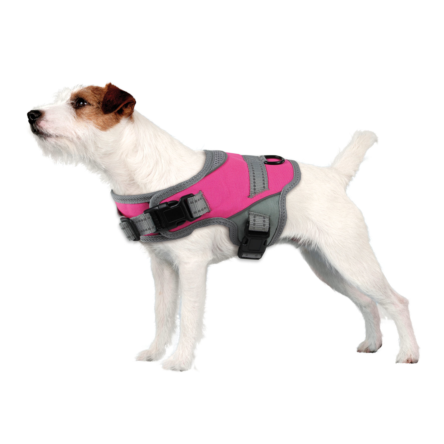 swisspet harnais Onyx, réfléchissant, rose vif XXS : taille A : 31-40cm, cou B : 28-33cm