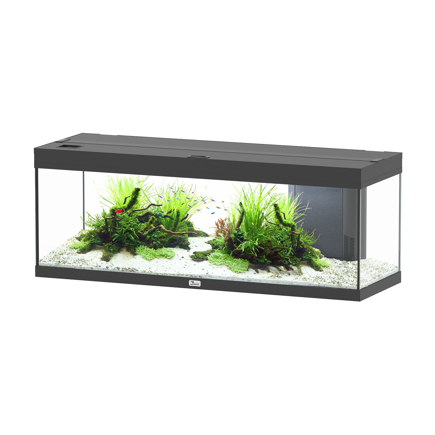 Aquarium Aquatlantis AQTL Prestige 120,120.4x39.9x45.2cm, schwarz