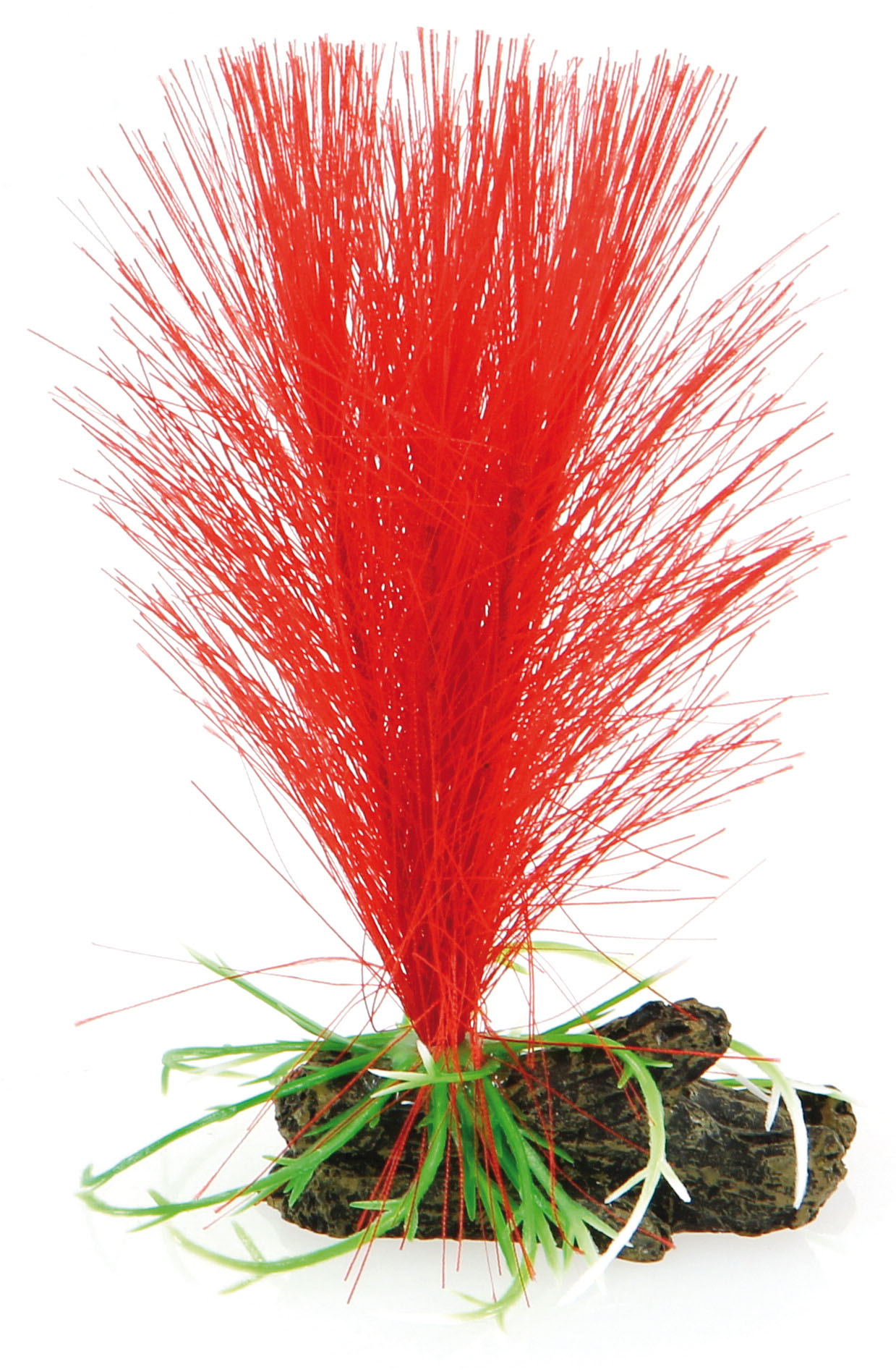 Amazonas Fantasy Plant Nano AT, rot