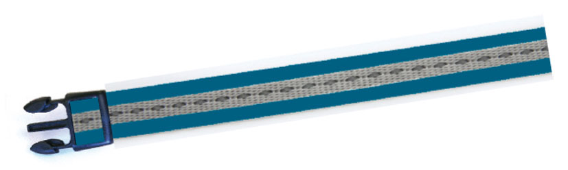 swisspet Hundehalsband V 25mm/48-70cm, türkis