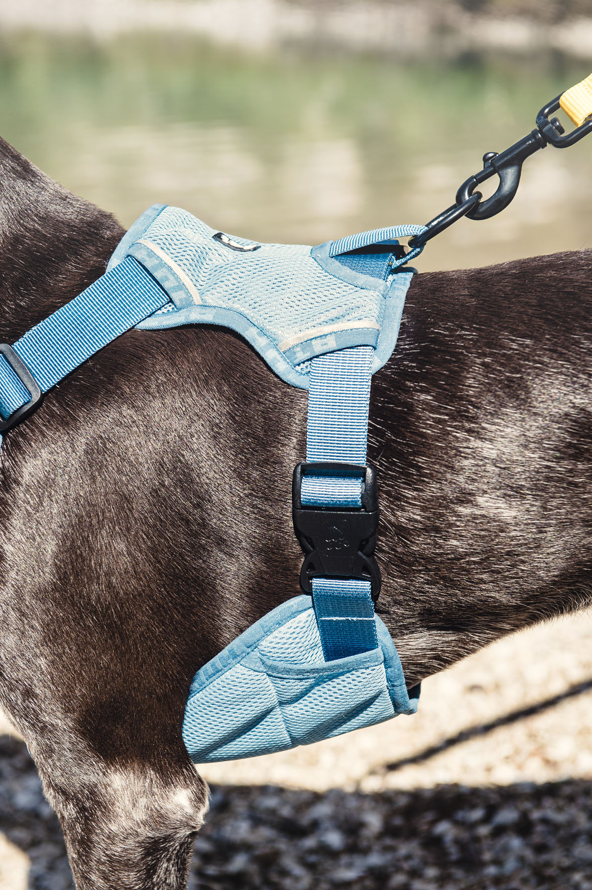 Hurtta Kühlgeschirr, blau L