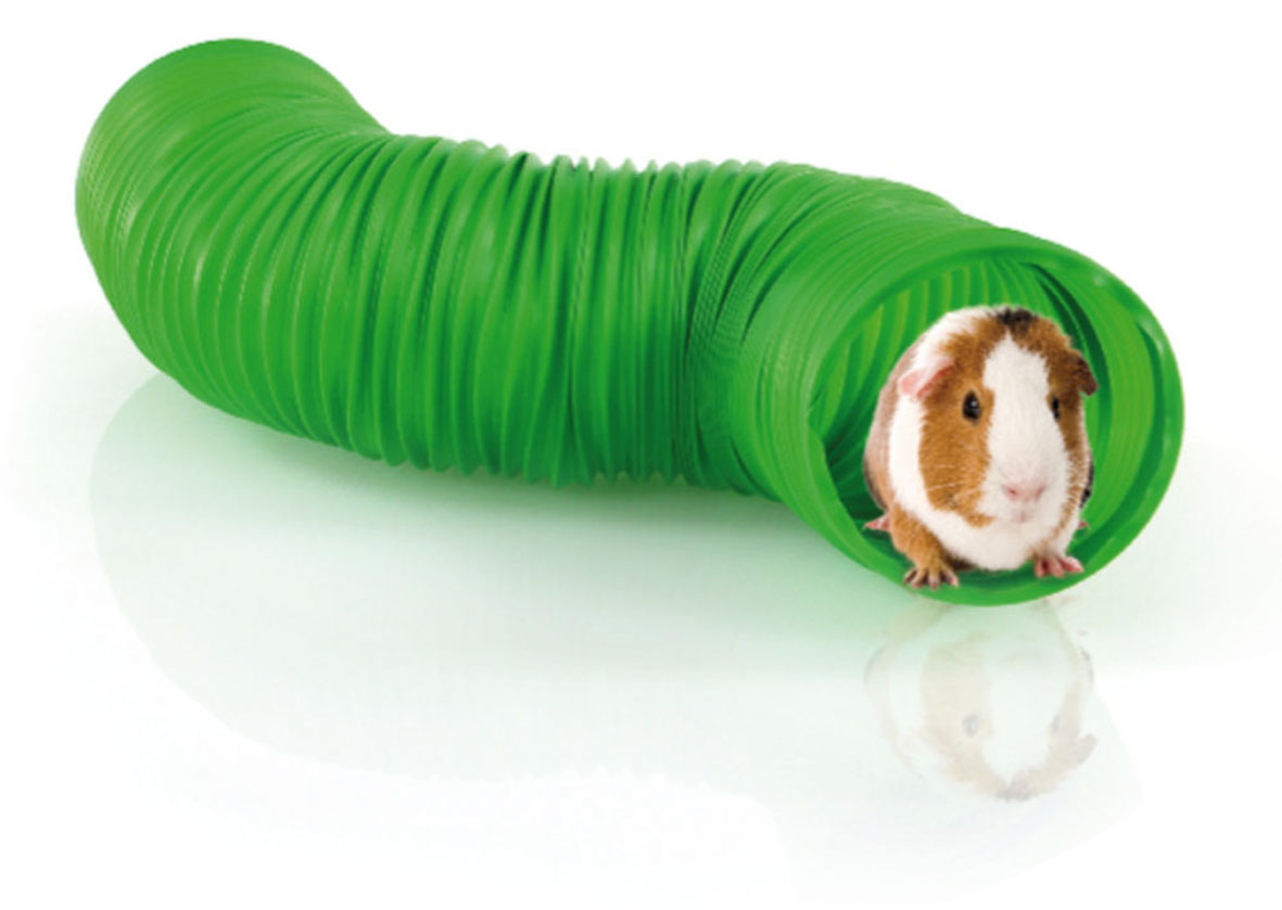swisspet tunnel en plastique pour rongeurs