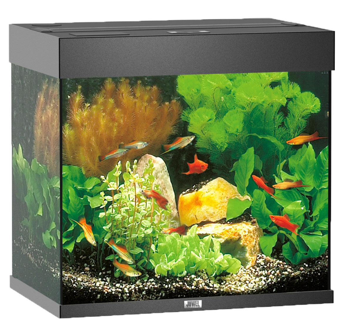 Juwel Aquarium Lido 120, noir