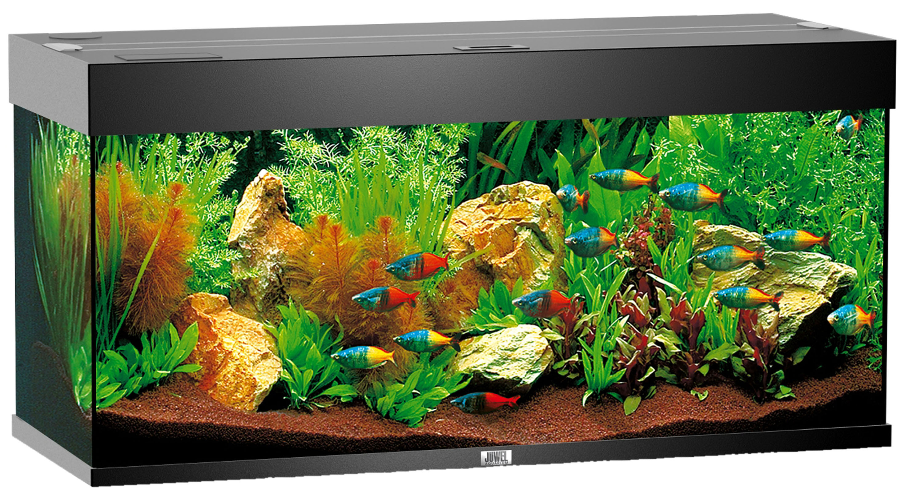 Juwel Aquarium Rio 180, schwarz Juwel Aquarium Rio 180, schwarz