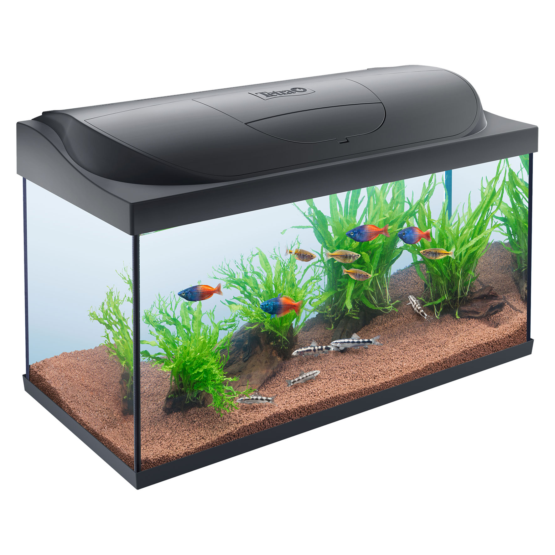 Tetra StarterLine LED 105L