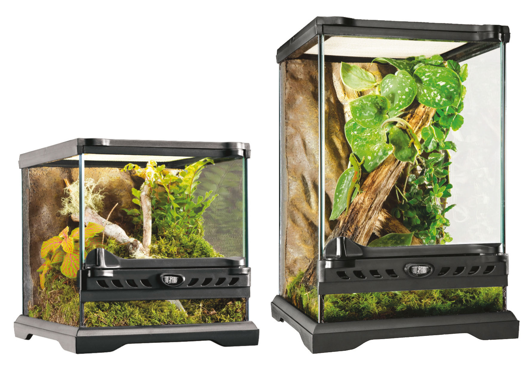 Exo Terra Terrarium Nano