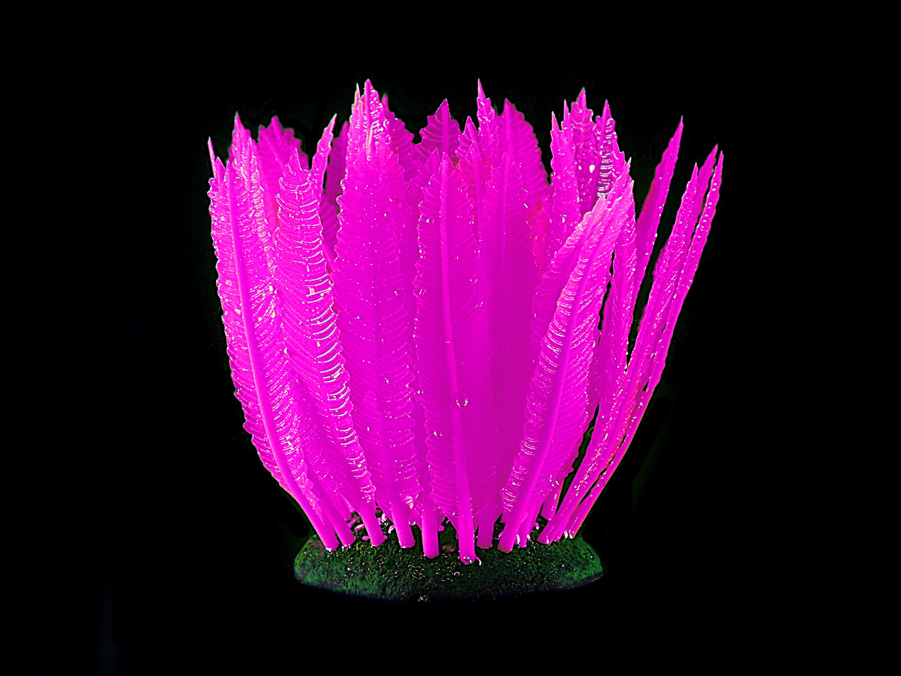 Amazonas plantes artificielles FLUO osmonde, rose vif