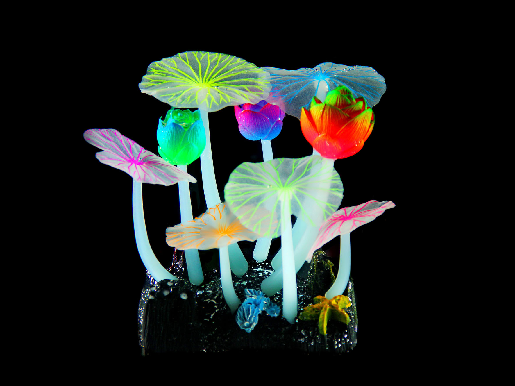 Amazonas Kunststoffpflanzen FLUO Lotus R6, 12x9.5x7cm