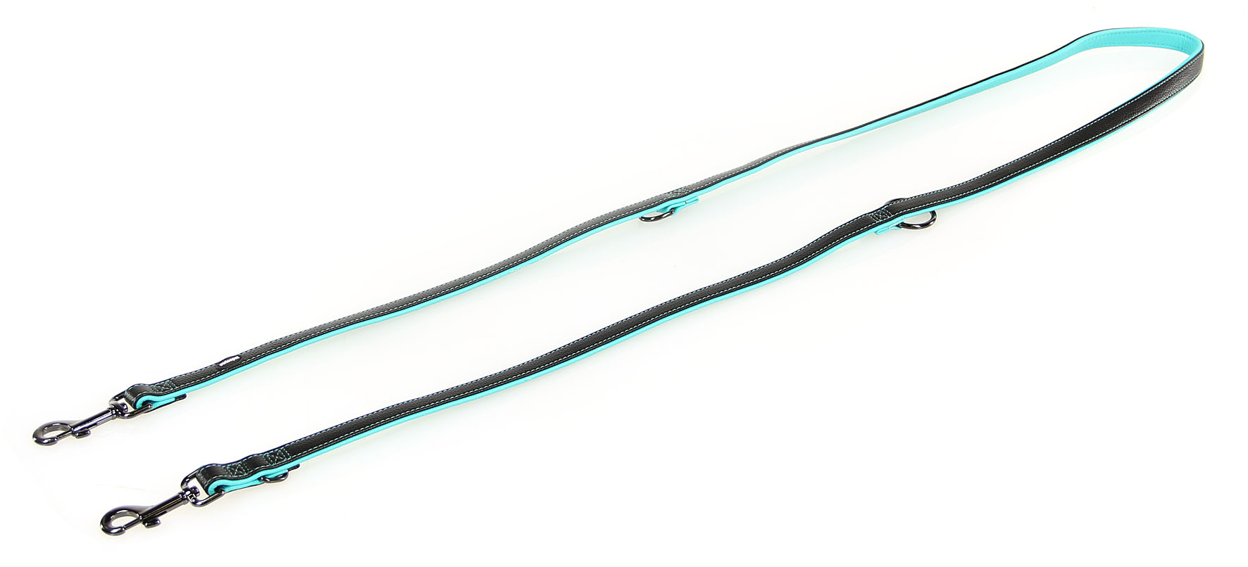 swisspet laisse Dover, émeraude/noir, 19mm/200cm