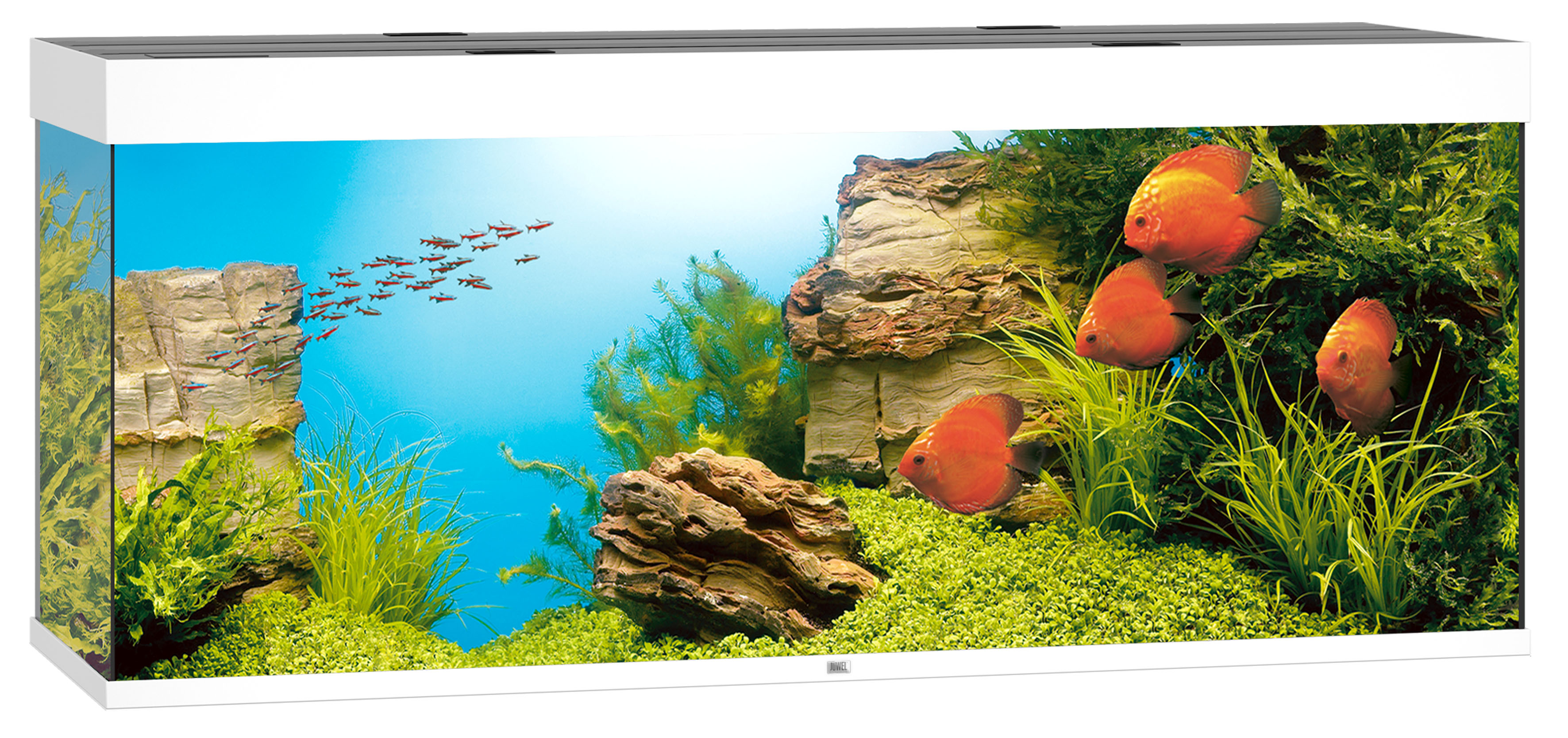 Juwel Aquarium Rio 450, weiss