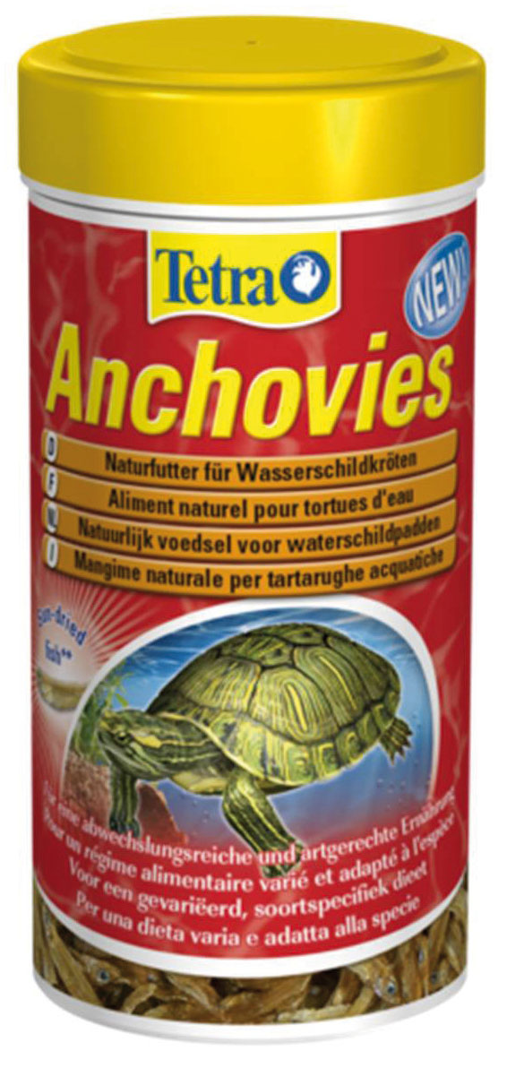 Tetra Anchovies