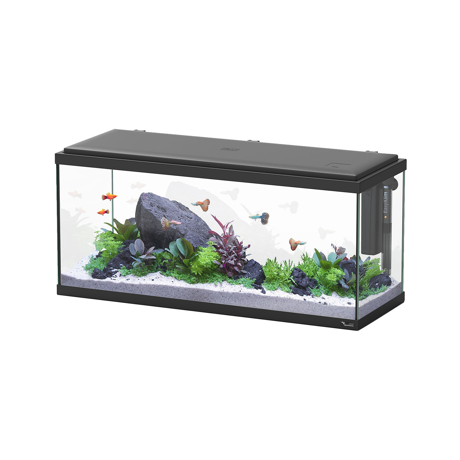 Aquatlantis Aquarium Explorer Amsterdam LED 80, schwarz