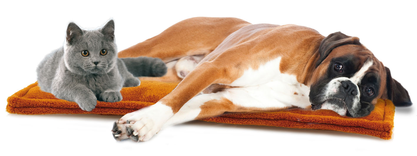 Happy Care Comfort Stützkissen Gr. L, 20x70cm