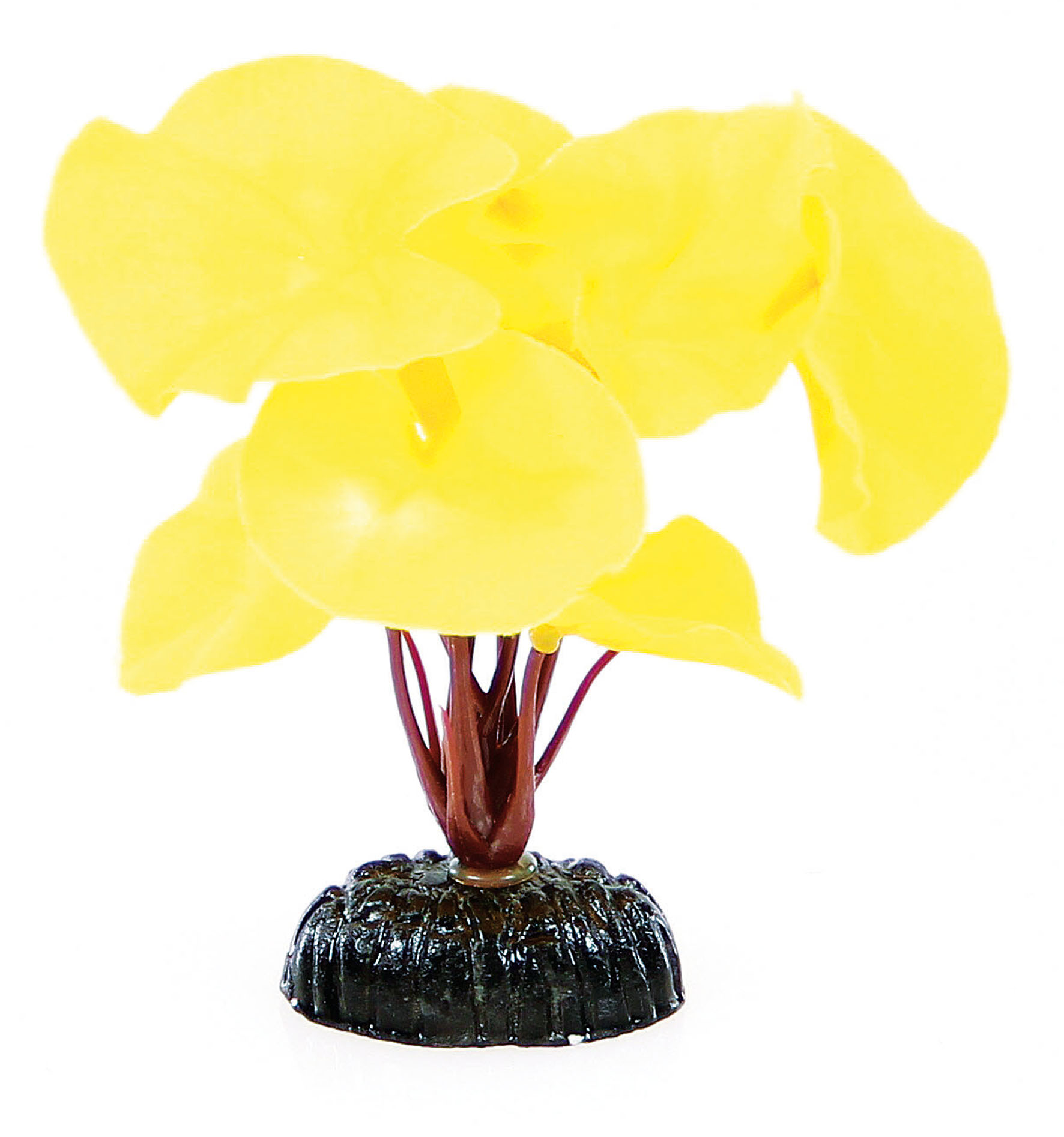 Fantasy Plant BPS-102 10cm giallo