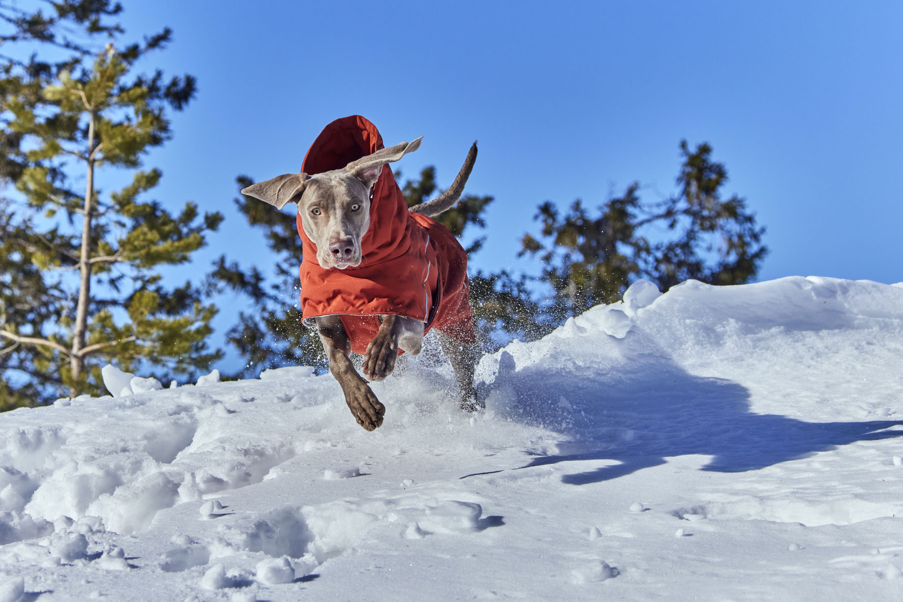 Hurtta Extreme warmer ECO cannella Taglia 25