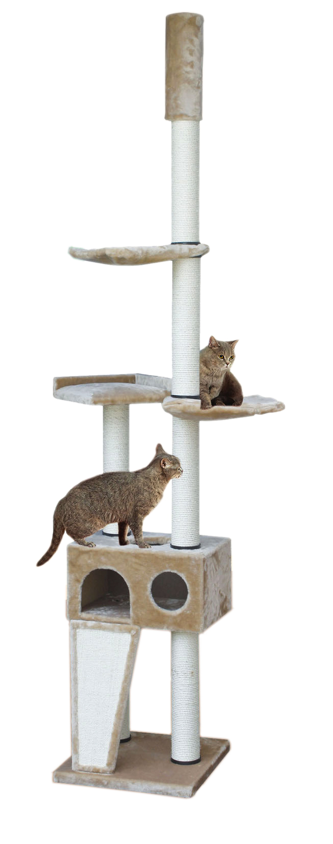 swisspet Kratzbaum Muralto, beige