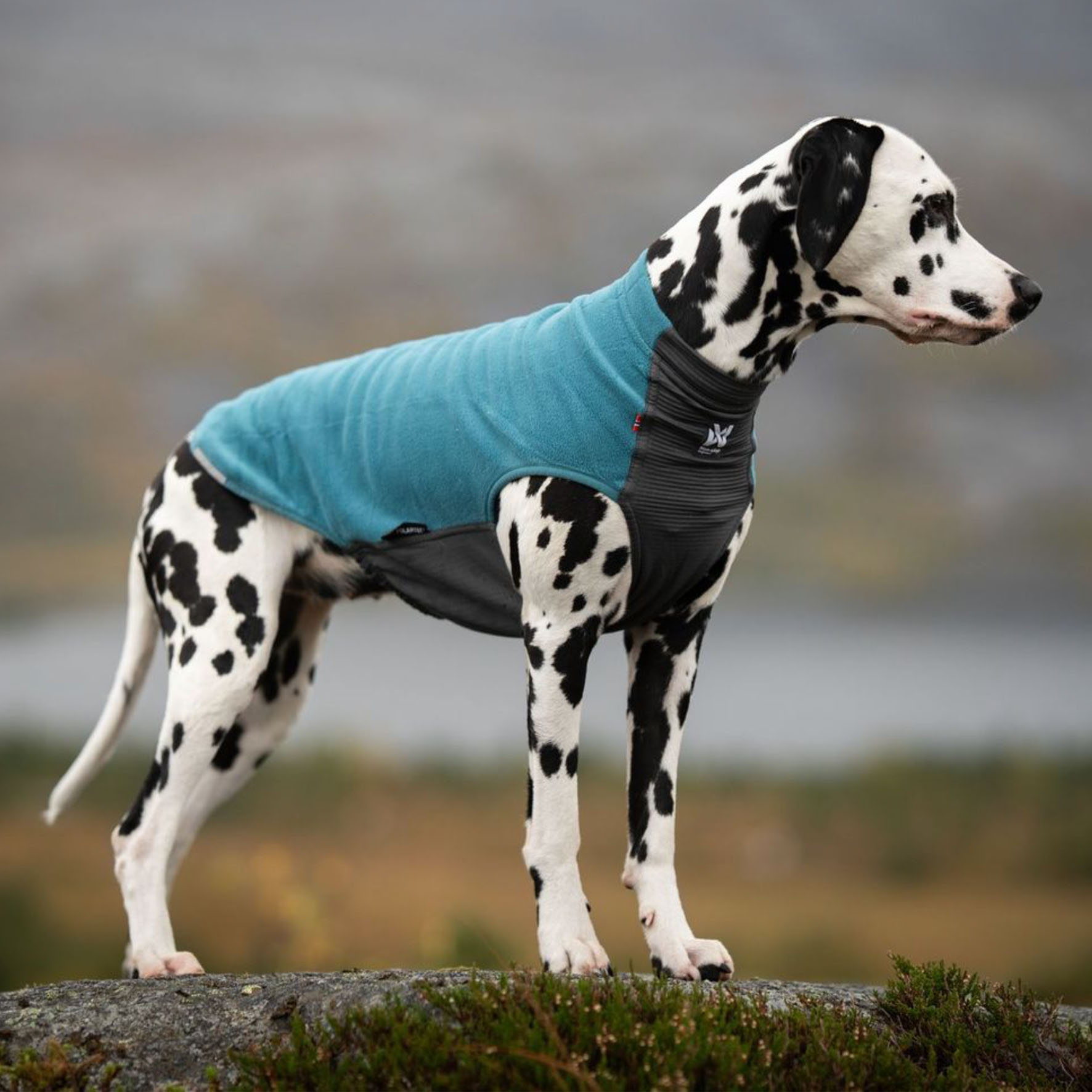 Non-stop Trail Quest pull en polaire, 70cm