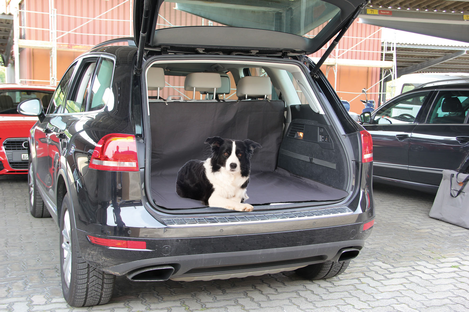 swisspet Kofferaumschondecke Billy