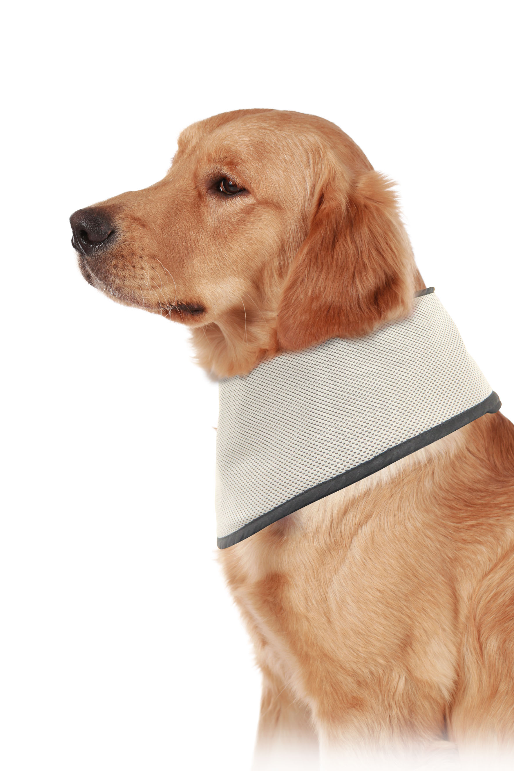 swisspet Foulard rafraîchissant