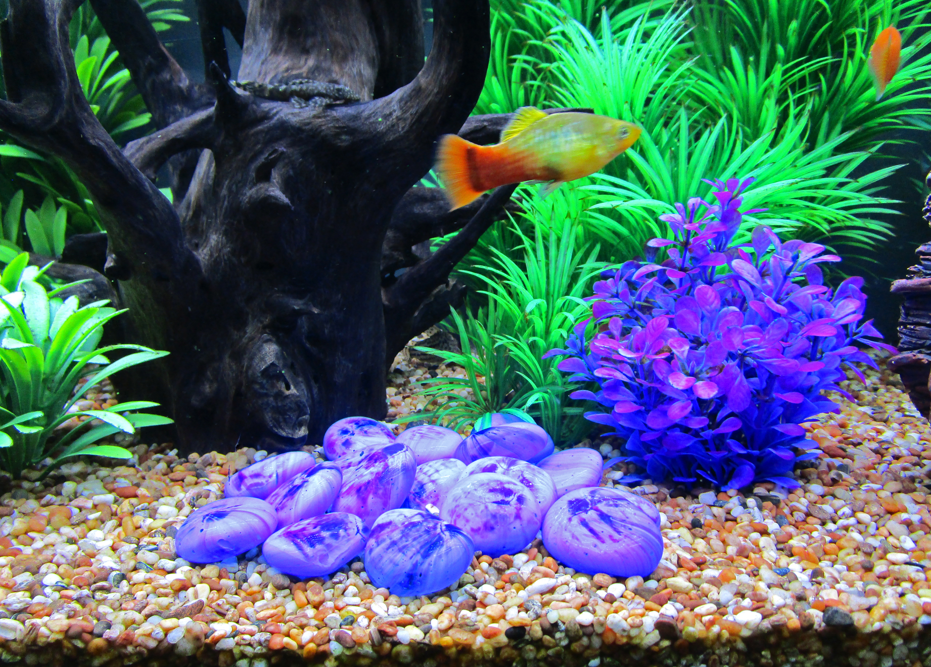 Orbit Nuggets di vetro, blu scuro, 0.75 kg