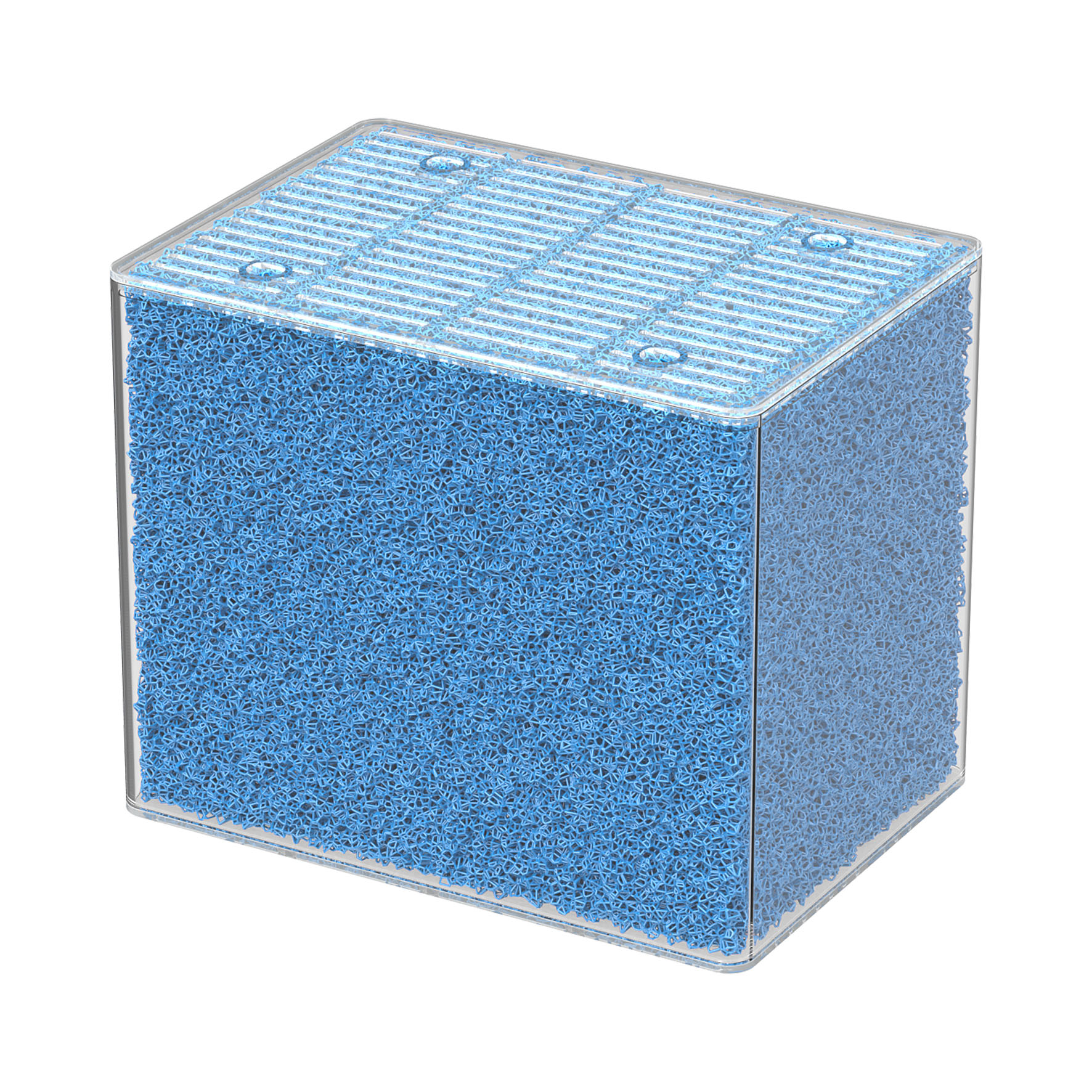 Aquatlantis Easybox Fine Foam L