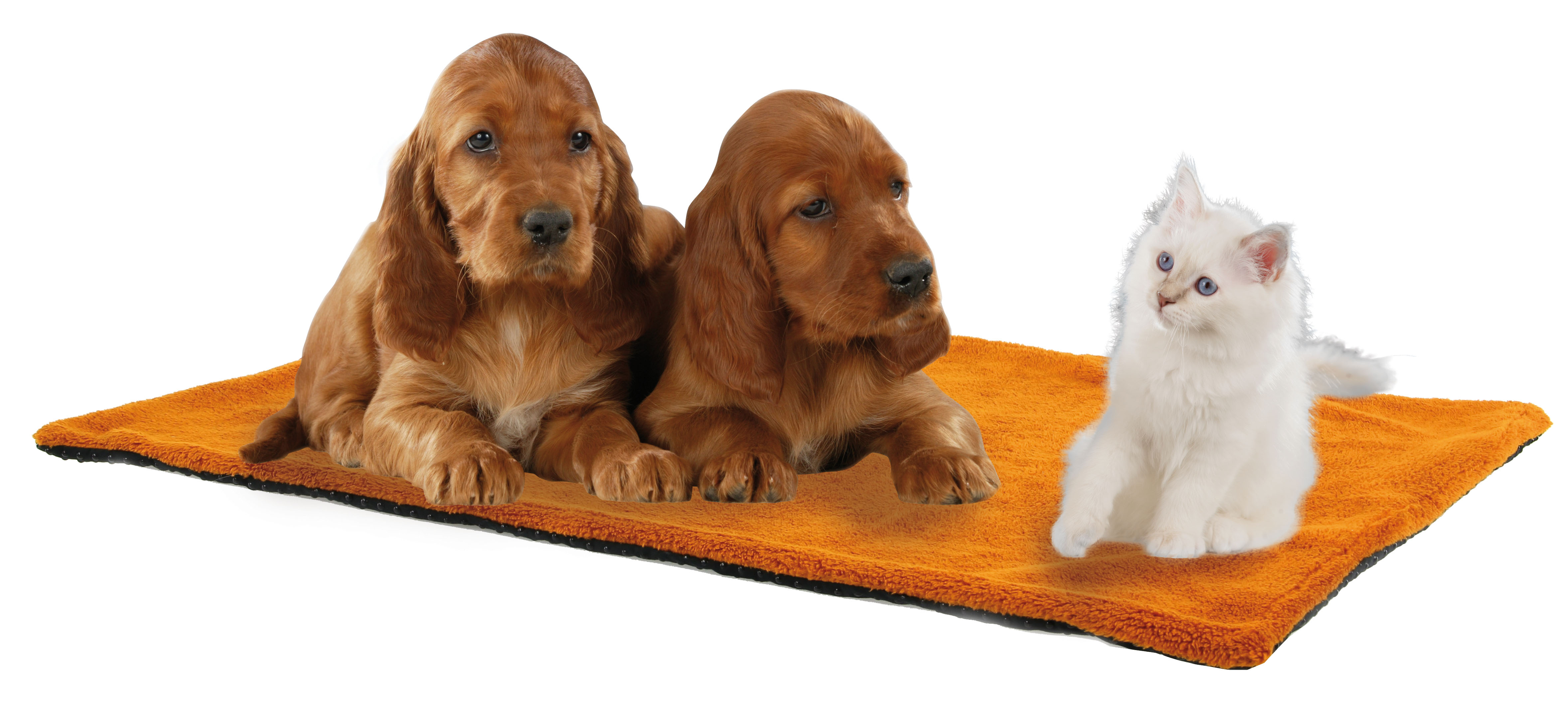 Happy Care Comfort Hunde-Liegematte 50x70cm