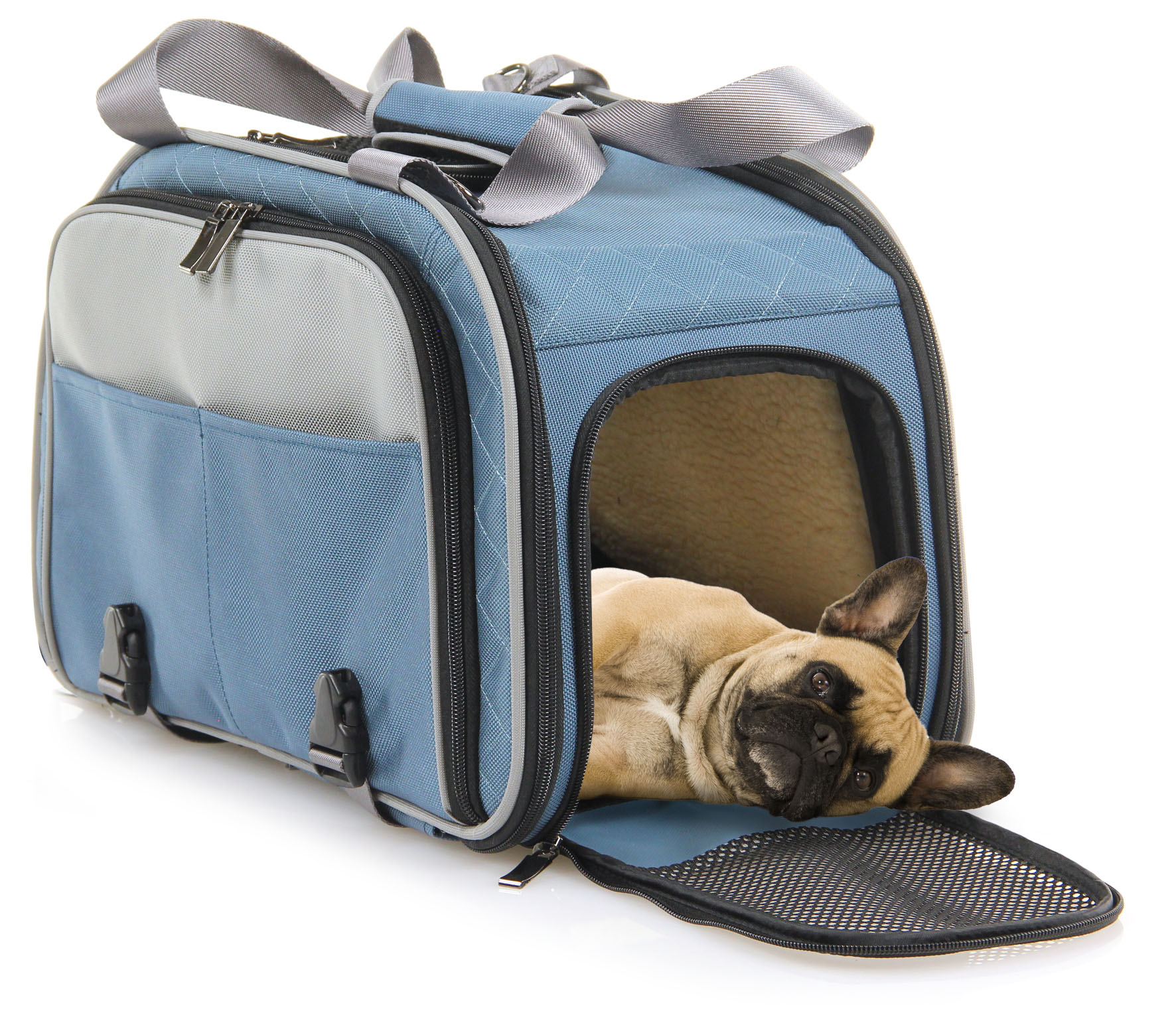 swisspet Transportrucksack JET, stahlblau